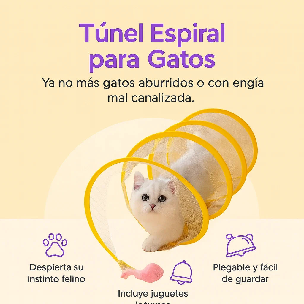 Tunel Interactivo Gatos